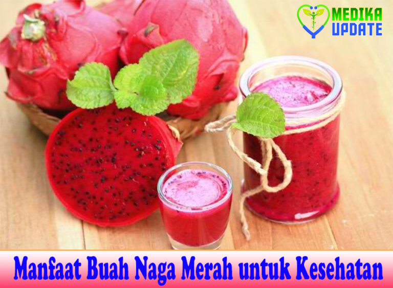 Manfaat Buah Naga Merah untuk Kesehatan