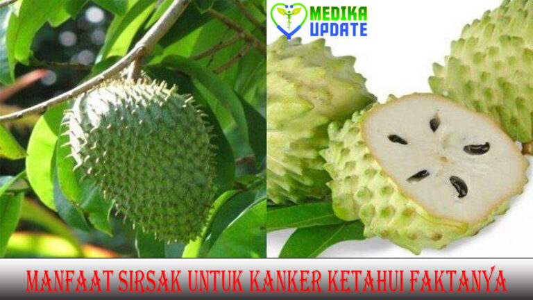 Manfaat Sirsak untuk Kanker, Ketahui Faktanya