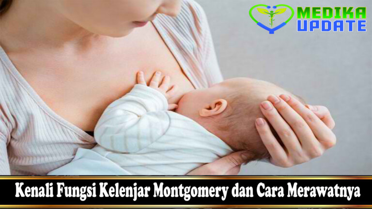 Kenali Fungsi Kelenjar Montgomery dan Cara Merawatnya