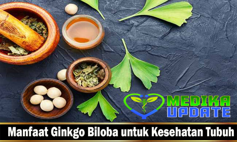 Manfaat Ginkgo Biloba untuk Kesehatan Tubuh