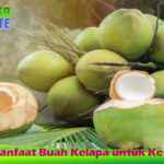 Inilah Manfaat Buah Kelapa untuk Kesehatan