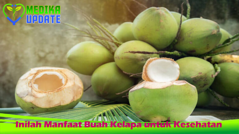 Inilah Manfaat Buah Kelapa untuk Kesehatan